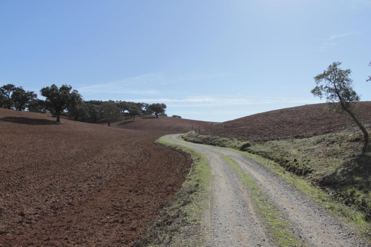 Monte Bandarro Novo, Country House Villa Cercal do Alentejo Dış mekan fotoğraf